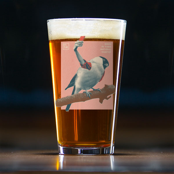Birds with Arms Pint Glass